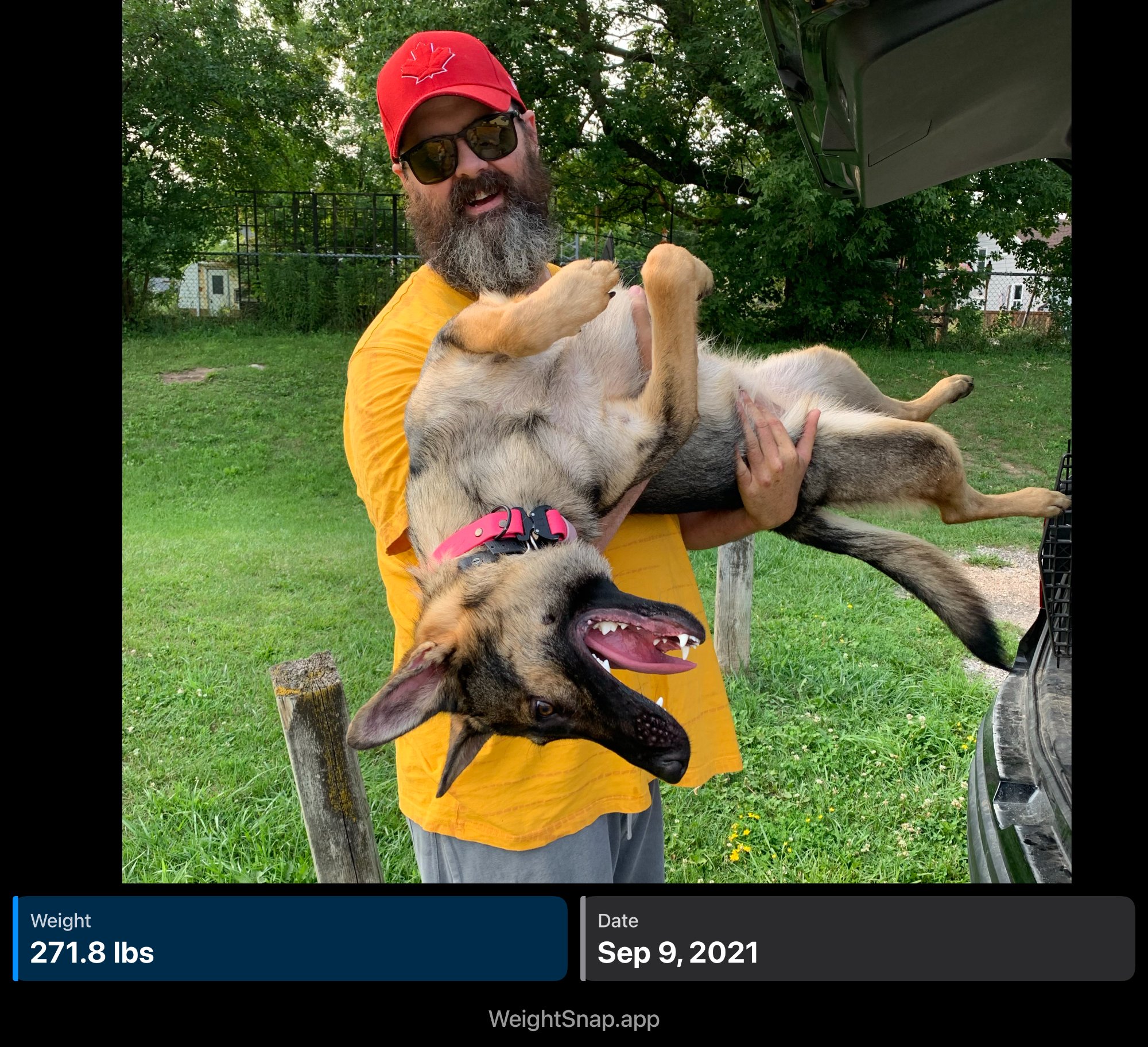 Progress photo September 2021 - 271.8lbs